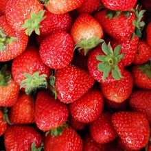 冷凍草莓 美13 甜查理草莓 15-25-35MM 可出口可內銷  可商檢