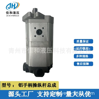 加工定制 齿轮泵 CBFL-FB-D408-F416-AFPL 多种规格 运行稳定