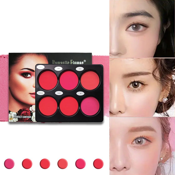 Special for cross-border export cosmetics 6 color blush plate natural makeup new matte temu wholesale