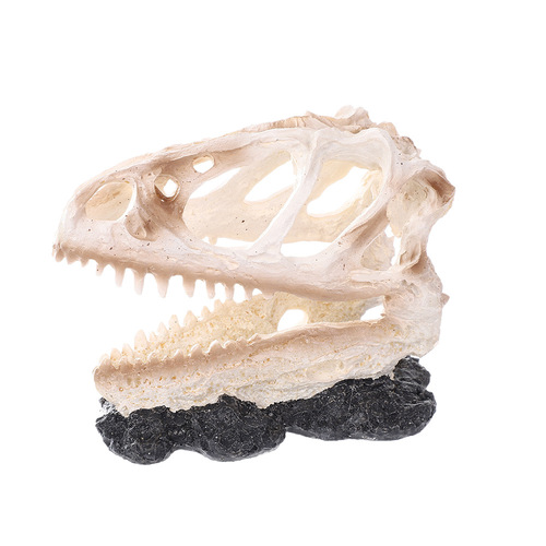 Fish tank landscape Tyrannosaurus Rex resin figurine realistic skeleton bones fish shrimp hiding house aquarium decoration fossil