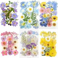 押花混合干花树叶粘贴画压花真花植物标本手工滴胶干花diy材料包
