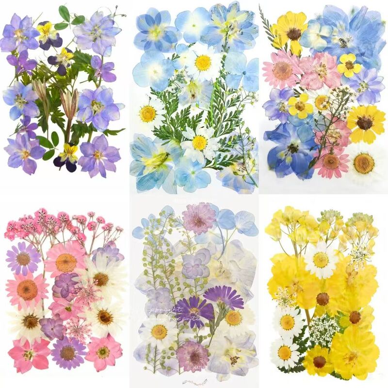 Pressed Flower Mixed Dried Flower Leaves Collage Artwork, Pressed Real Flower Plant Specimens, Handmade Resin Dry Flower DIY Material Kit Pressed Flower Mixed Dried Flower Leaves Collage Artwork, Pressed Real Flower Plant Specimens, Handmade Resin Dry Flower DIY Material Kit