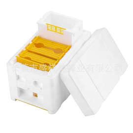 盛祥美蜂业养蜂白色泡沫蜂箱蜂王交尾箱塑料蜂箱