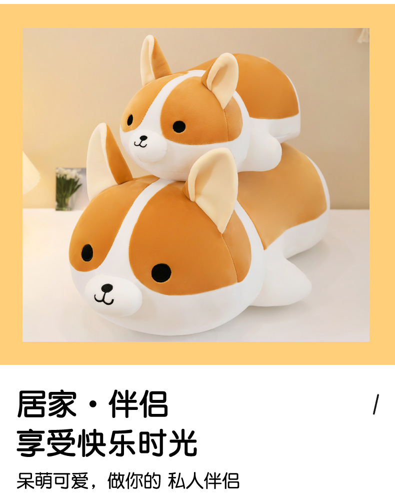 柯基_04.jpg