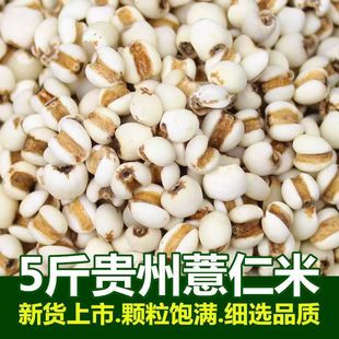 �S��ֱ�N2025С޲��500g�F����؛����޲��������s�Z޲���ʼt����