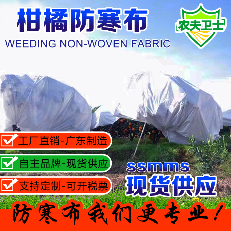 柑橘桔子避雨布橙子防寒无纺布防雨布防冻保温防水透气厂家现货