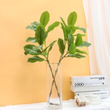 �������m�~�ָоGɫ���m�~�廨��ļ����mľ�޻��~�����m��٘�֦
