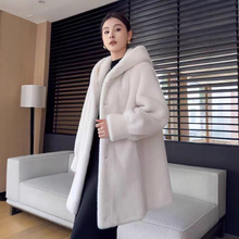 2025¿ZqƤŮBñLaƤŮ