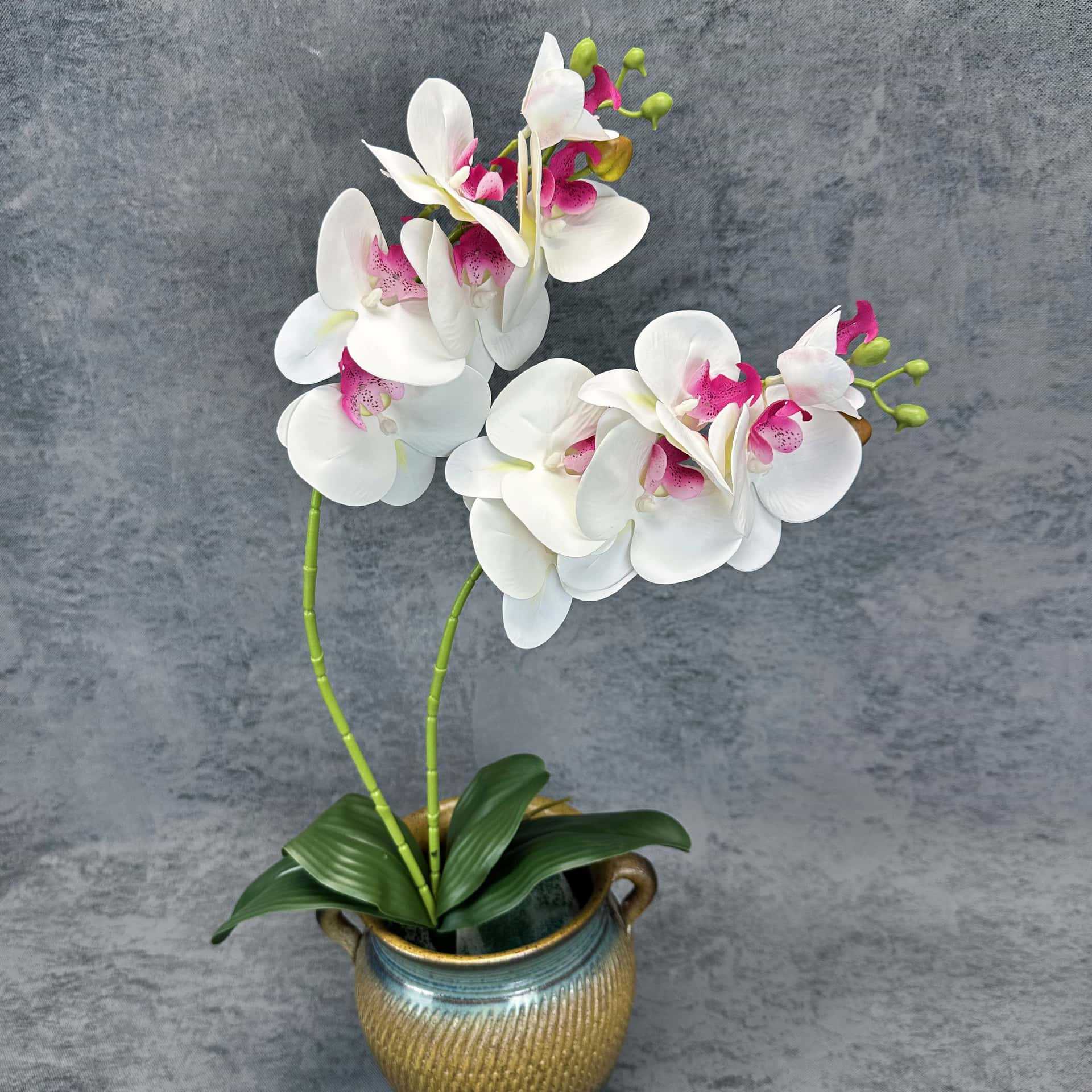 Simulación de 2 horquillas 12 mariposa orquídea PU sensación de flores falsas decoración del hogar decoración de boda props orquídea adornos al por mayor