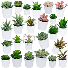 羳NψADIYMbGֲС[ٻ