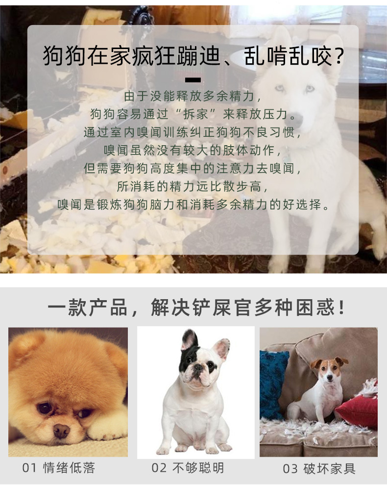 PD60112鳄鱼嗅闻玩具_02.jpg