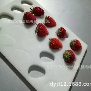 Strawberry Sponge Packaging/Strawberry Buffer Sponge Packaging/Strawberry Loss Prevention Sponge Packaging Strawberry Sponge Lining