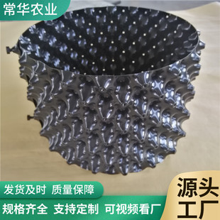 �@�֘�ľ�������NҎ���ֲ�Nֲ�ظ��� �{ݮ�ظ�����ҿظ���