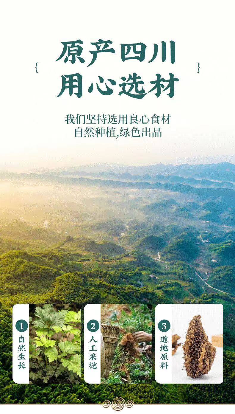 Sichuan Coptis Root Slices Huang Lian 500g Dried Chinese Herb for Decoction and Culinary Use quality and texture