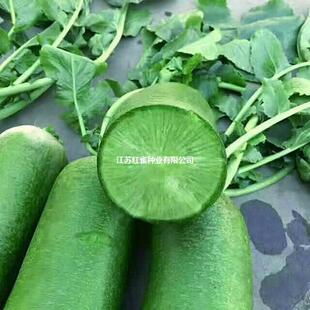 �M�üt�}�����}�������}���t�����~�Ѽt��������Ƥ�t���}���N��