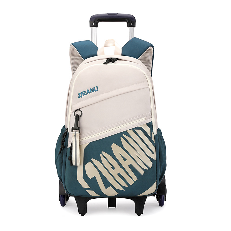 Mochila de pescado natural para niños de grado 3 - 6 con ruedas para subir escaleras, mochila de secundaria secundaria