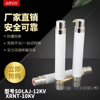 10KV高压限流熔断器 XRNT- 10(12)KV/1A 5A 10A 40A 高分断熔断器