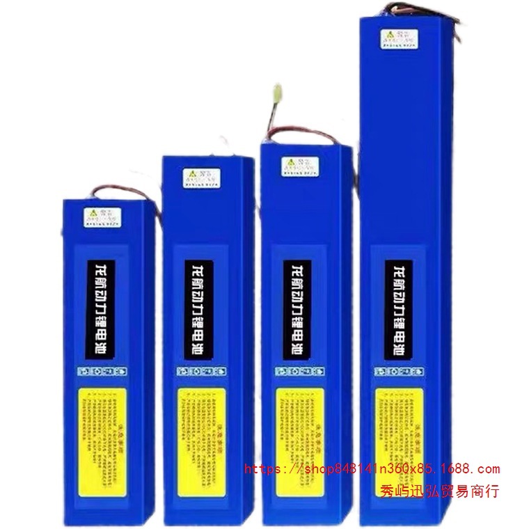 电动车48V锂电池36V滑板车48V10AH折叠车锂电池60V电动车