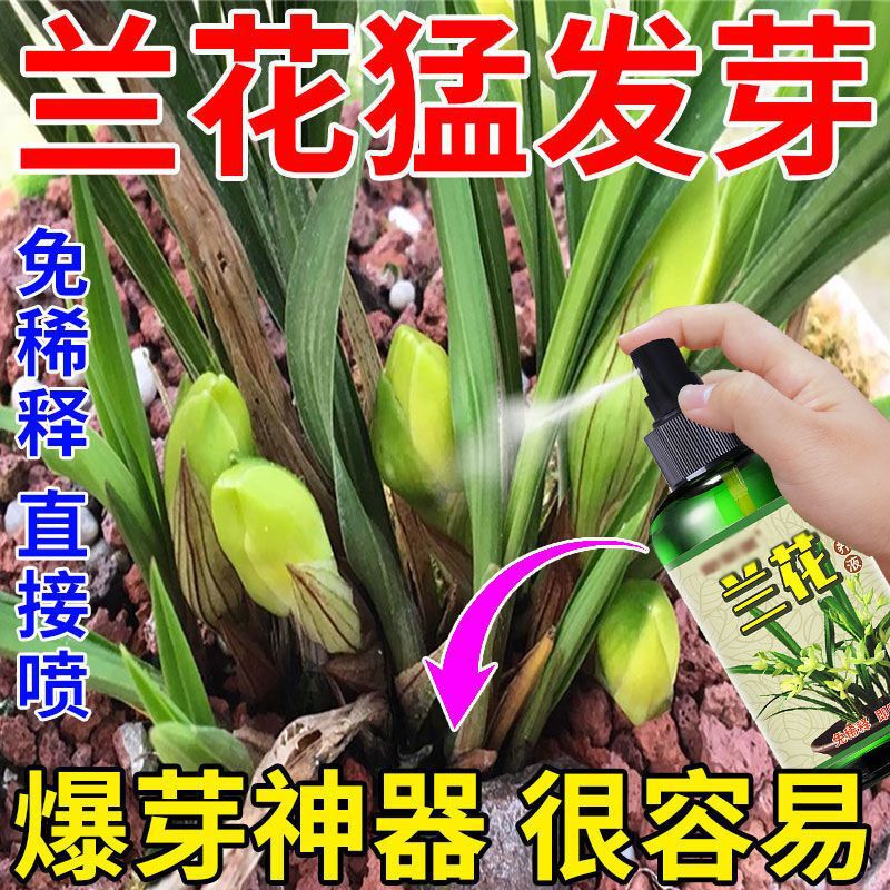 [No Dilution, New Buds] Treats Orchid Rotten Roots, Hollow Root Stems, Rot, Promotes Rooting, Sprouting, Strengthens Roots, Blooming and Sprouting