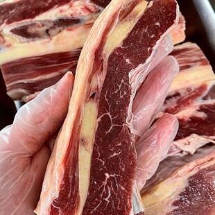 ���r����ţ���Ź� �����Sţ�Ź�ԭ�ж���ţ�߹� �ְ�ţ����ץţ��