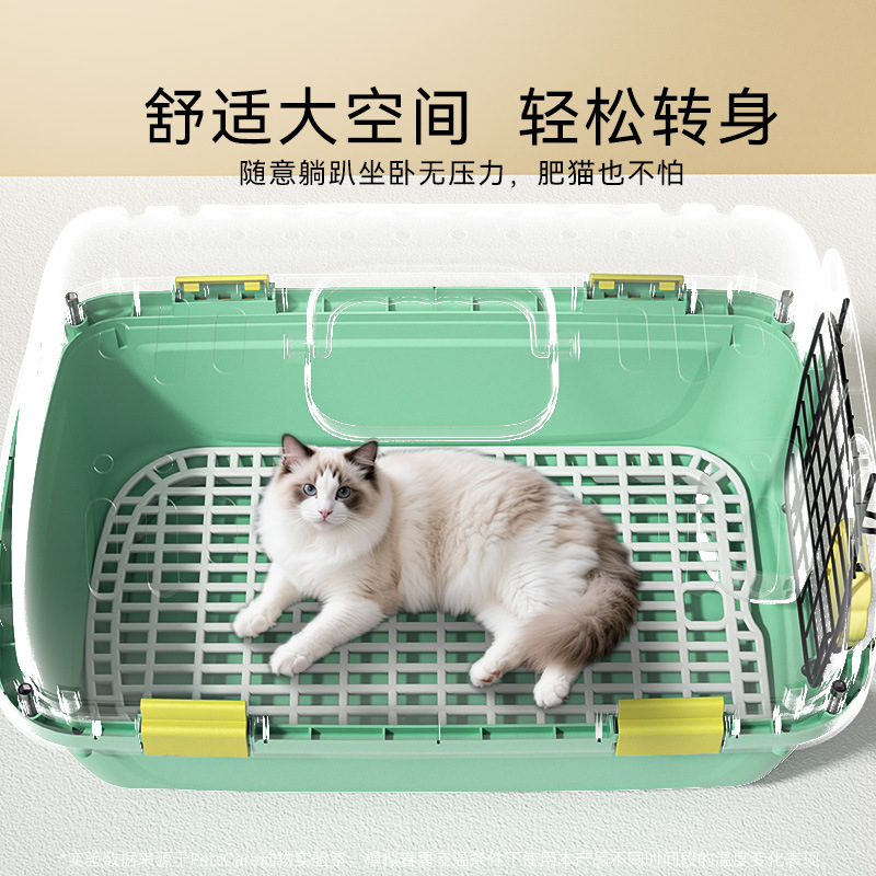 Caricatura de dibujos animados lindo lindo oso caja de aire de colores lindos perros gatos fuera de la caja de transporte aéreo jaula de mascotas jaula