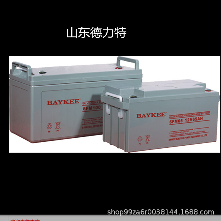 全新柏克BAYKEE蓄电池12v120ah铅酸免维护6GFM120直流屏 含运