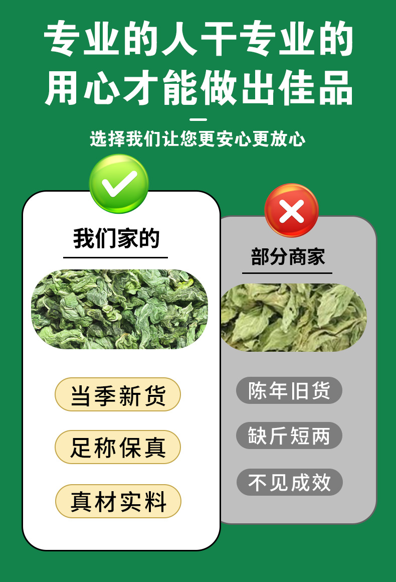 Mint Leaves (Mentha haplocalyx) — Dried Food-Herb Mint Tea for Brewing & Blending specifications