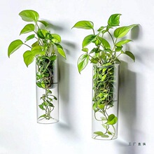 壁挂花瓶墙壁装饰简约插花绿萝植物水培容器花盆客厅挂壁器皿挂件