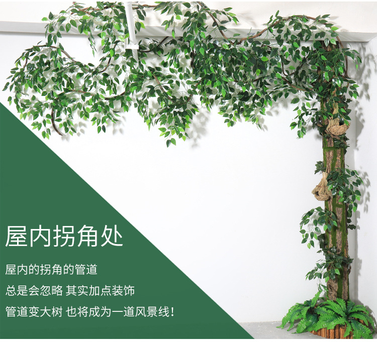 详情-01.jpg
