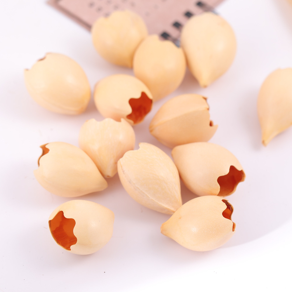 cáscara de fruta campana accesorios de materia prima planta natural cáscara de fruta campana de viento cáscara de fruta campana accesorios hechos a mano material diy image 10