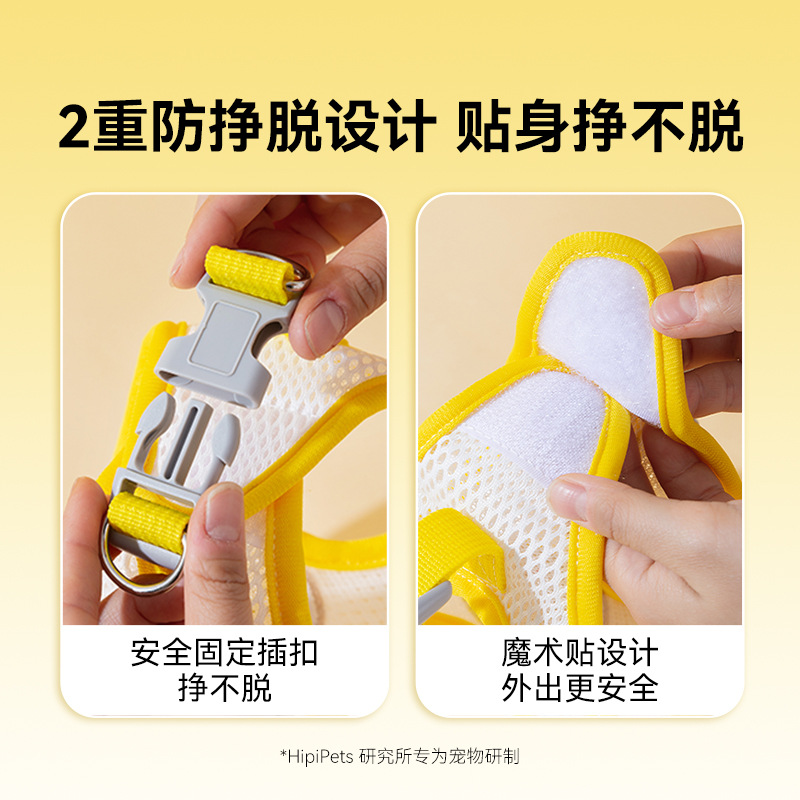 Perro paseando cuerda para perros gatos lindos transpirables cuatro estaciones chaleco perro pequeño cinturón de pecho para mascotas cuerda de tracción