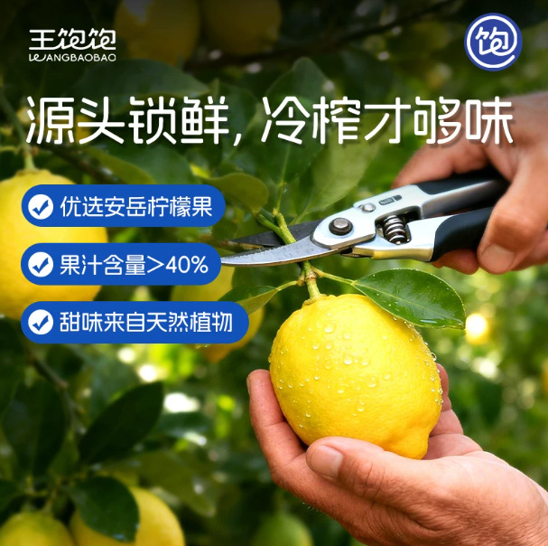 왕 전체 차가운 압축 레몬 주스 농축 레몬 주스 여름 상쾌한 기름기 차가운 압축 주스 음료 차가운 물 양조 음료