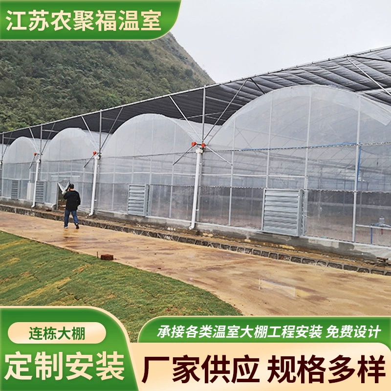 Производитель многопролетных теплиц с пленочным покрытием, внутренним и внешним затенением, теплоизоляцией, современной сельскохозяйственной тепличной инженерии и монтажа