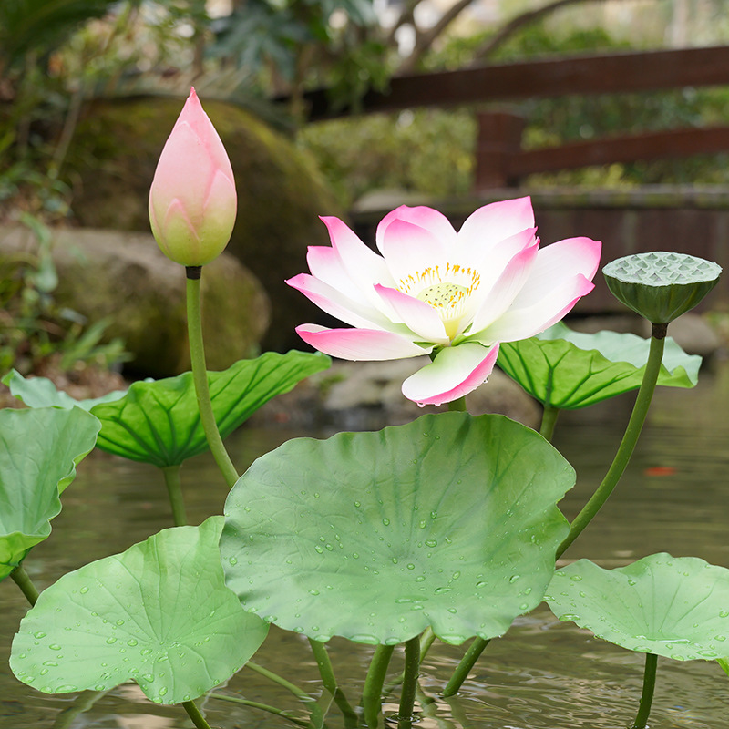 PU仿真荷花造景仿真花假荷葉道具假花水池裝飾塑料花魚池花藝落地