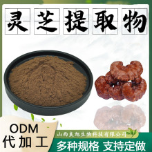 灵芝提取物灵芝粉药食同源食品级保健原料水溶性萃取粉末现货包邮