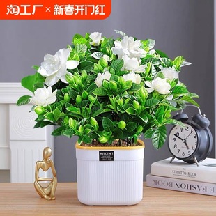 �d�ӻ����Ի���ֲ���������ˮ��Gֲ���_���҃ȿ͏d�ͺ��[��