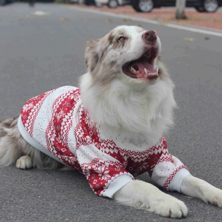 狗狗衣服大型犬秋冬新年保暖衣金毛拉布拉多边牧杜宾大狗圣诞衣服