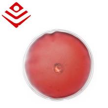 Դ^Sl羳Aů֌ؽƬůůִ