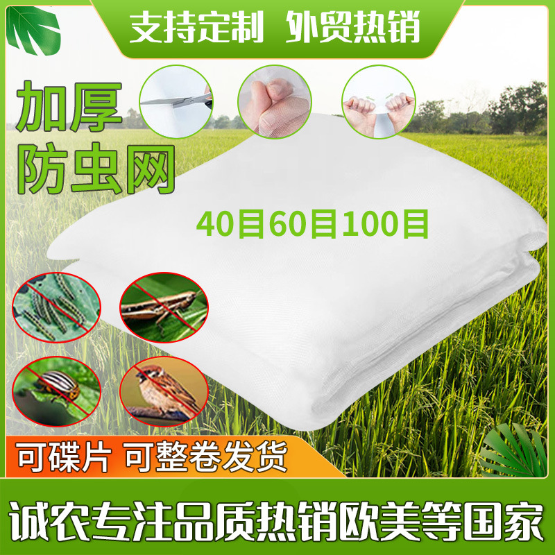 加厚果树防虫网亚马孙跨境专供40目60目防虫网罩种菜大棚防虫网