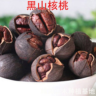 ������ɽ������ С���Һ���������Ҙ��� �ɽY�����Ҙ�����]