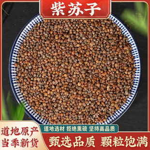 ���K���в������K�����o��Ѭ���K�������K�Ӿ��x��Ʒ��؛