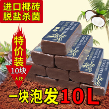 Ҭ�u�I�B��ͨ���͌�������Ҭ����Ҭ�����B���N����}�NֲÓ�}Ү�u