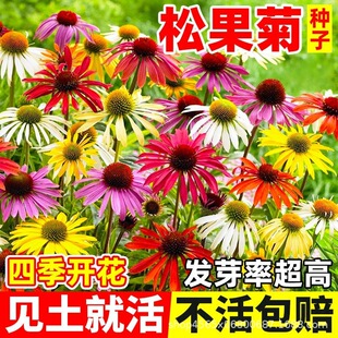 �ɹ��ղ����޸��ļ��������ͺ��͟����F�ջ���ͥԺ�̨���ԷN����
