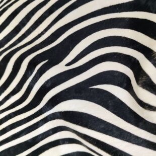 ����R�yţëӡ���RëƤһ�w����ӡ��Ƥ�Ϸ��bЬ���^����Ƥ