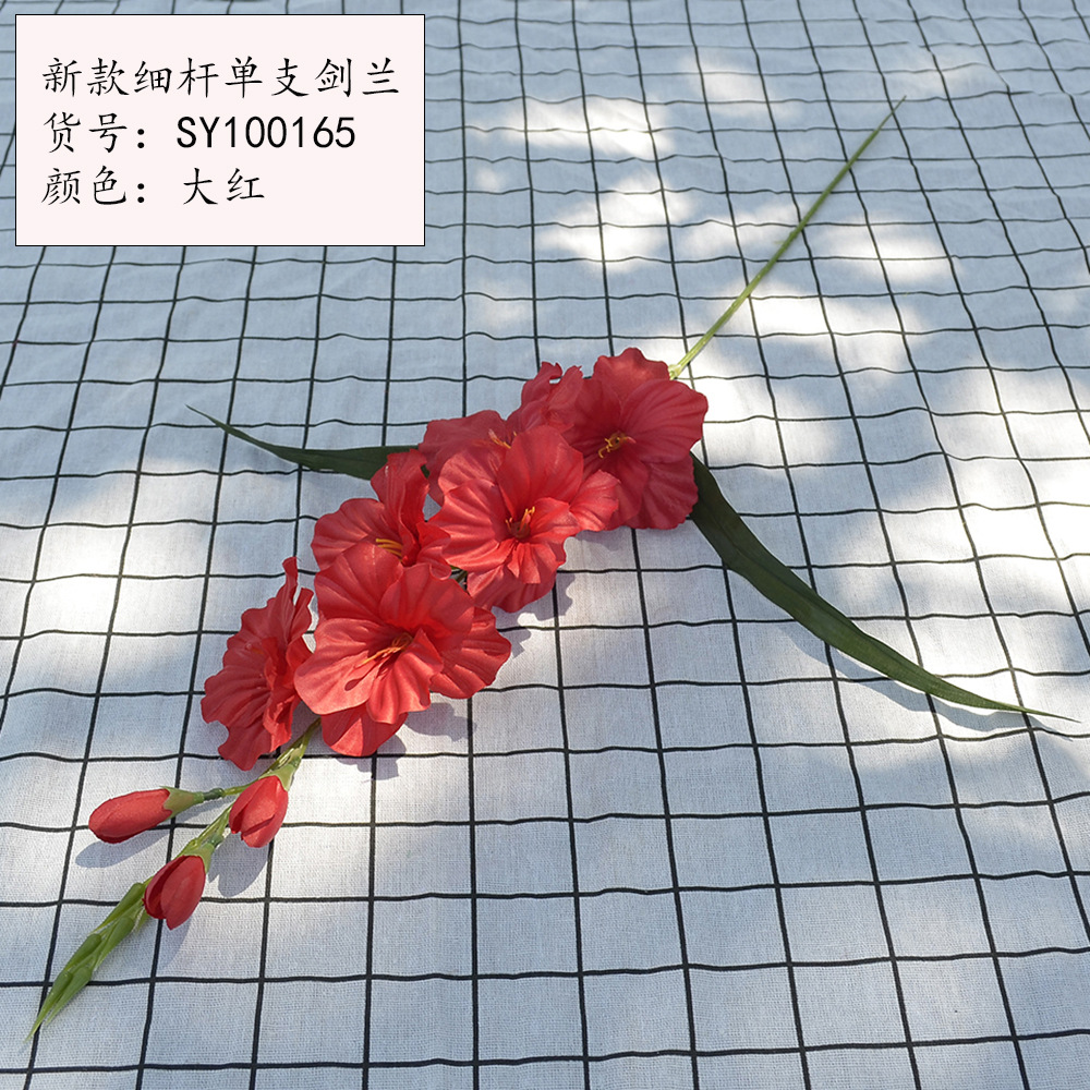 새로운 얇은 막대 단일 스피어 글라디올러스 레드