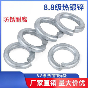 8.8������\���|����\���ɉ|Ȧ���ԉ|ƬM8/10/12/14/16/20