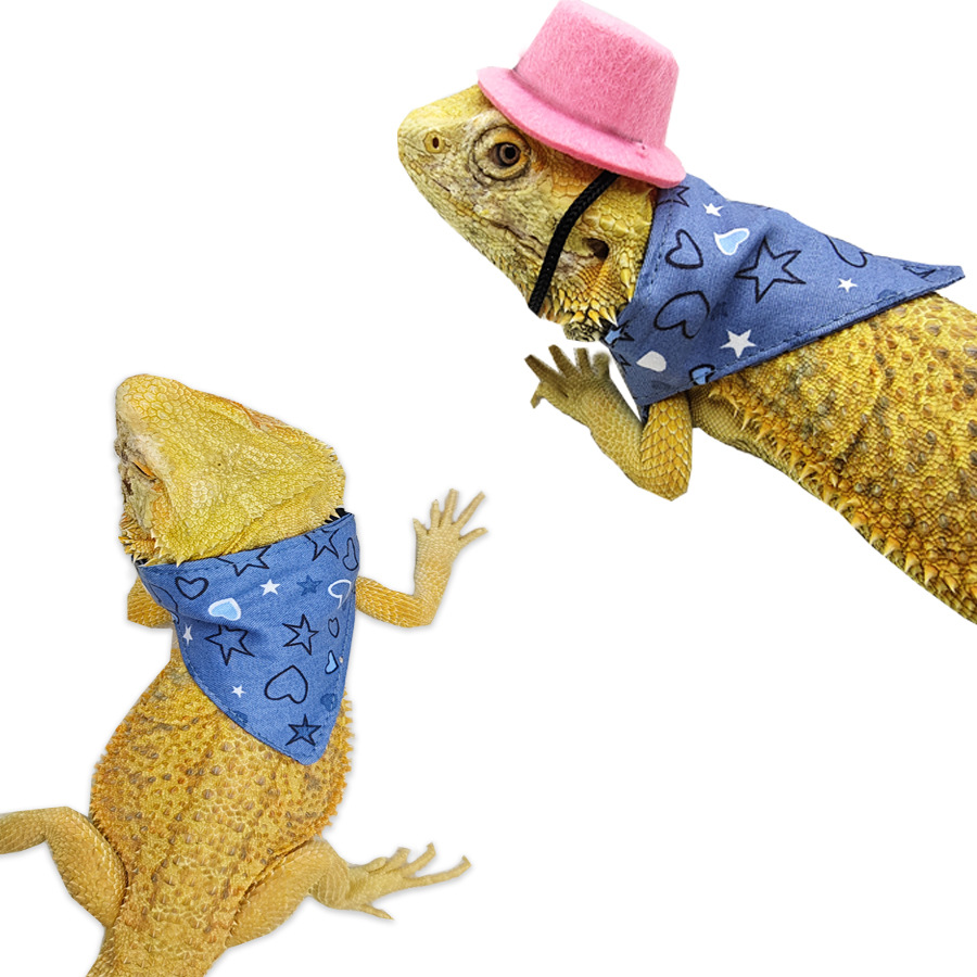 蜥蜴仓鼠装扮服装宠物帽子三角巾口水巾宠物万圣节服装小宠物礼帽