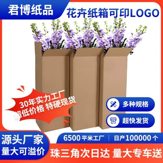 特硬五层加厚大型绿植打包长方形纸箱 快递包装纸箱长条纸箱定制