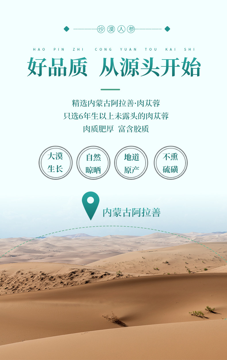 荒漠肉苁蓉详情内蒙古_05.jpg