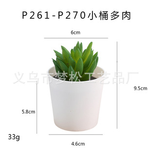 Mengsong Simulated Succulent Plastic White Bucket Small Succulent Mini Cross-Border Hot-Selling Home Furnishings Ready for Sale